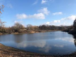 Lot 6 Lot 6 County Road 1300