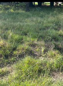 Lot 790 Oak Point Drive