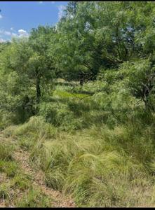 Lot 821 Oak Point Drive
