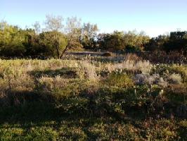 Bay Hill Lot 201