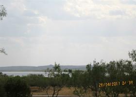 284 Cinnamon Teal Lot 1034
