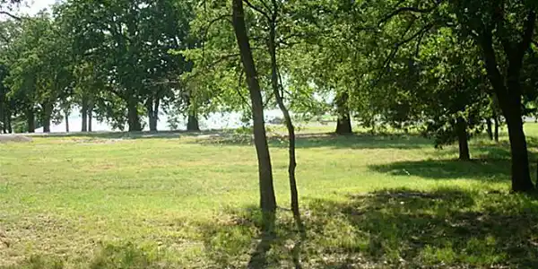 1 White Rock