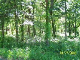 0 Lakepoint Loop Lot 4