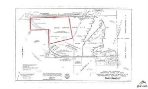Lot 56 County Road 4202