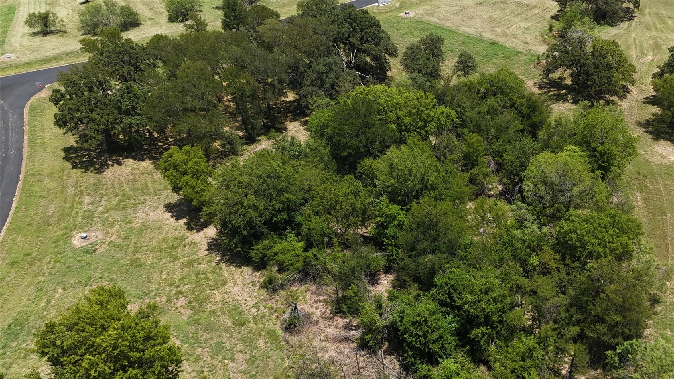 Image 4 Image 4