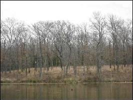 22 County Road 1953 Lot 33