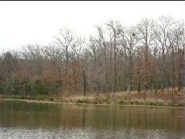 23 County Road 1953 Lot 23