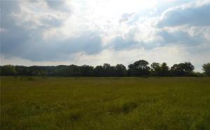 14 State Highway 154