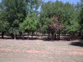17139 Woodlawn Drive