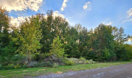 Lot 283 Eland Trail