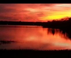 8500 Bluebird Lane Lot 43