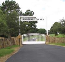 21128 County Road 3302