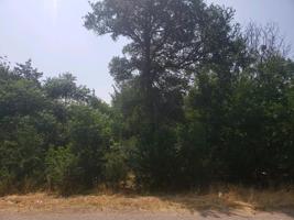 2909 Tanglewood Drive