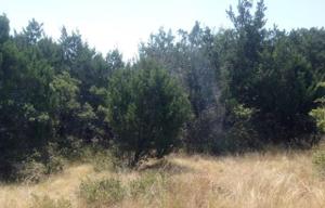Lot 43 Colonial Drive Lot 43