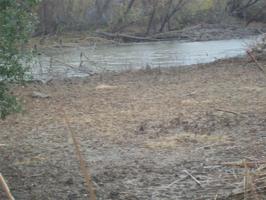 400 Hog Creek Road