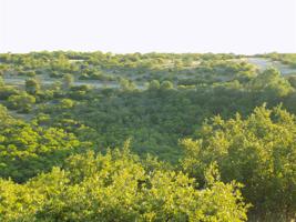 Lot 168 Baltrusol Drive