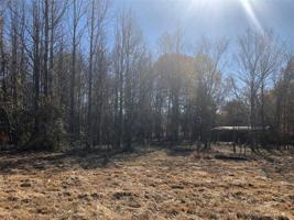 Lot 26 Lot 26 Whitefoot
