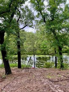 7721 County Road 4801