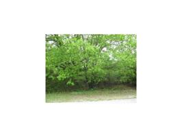 Lot 62 Lodge  DR