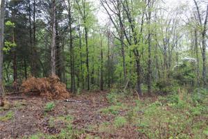 Irvine Lane