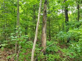 Lot 4 Cargill Drive