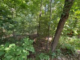 Lot 14 Pimlico Circle