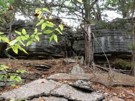 Lot 74 Black Oak Drive