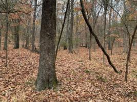 Lots 74, 75, 76 Pine Drive