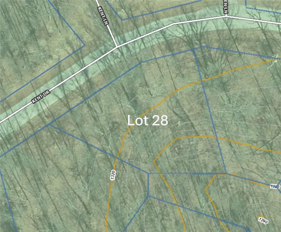 Image 1: Topographic of lot with approximate boundaries