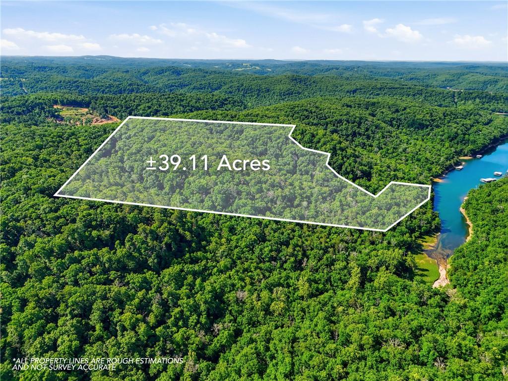 Image 3: Expansive 39.11-acre wooded lot featuring dense tr