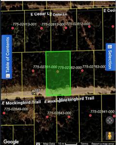 TBD E Mockingbird Trail