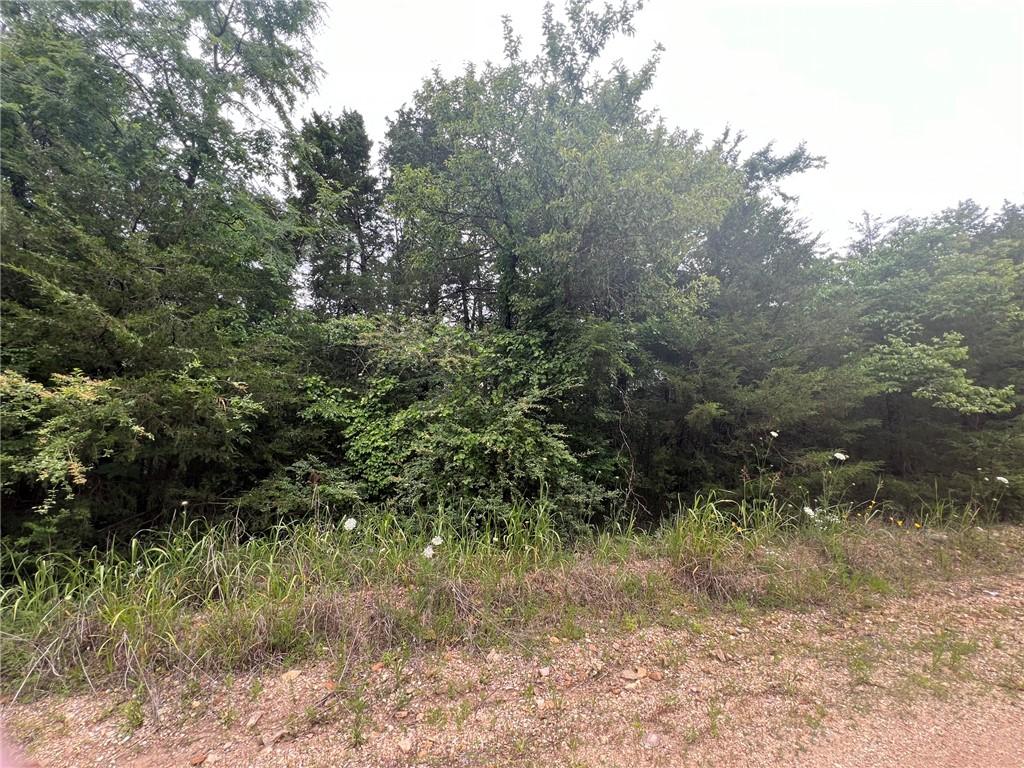 Image 2: Wooded lot featuring mature trees and natural vege