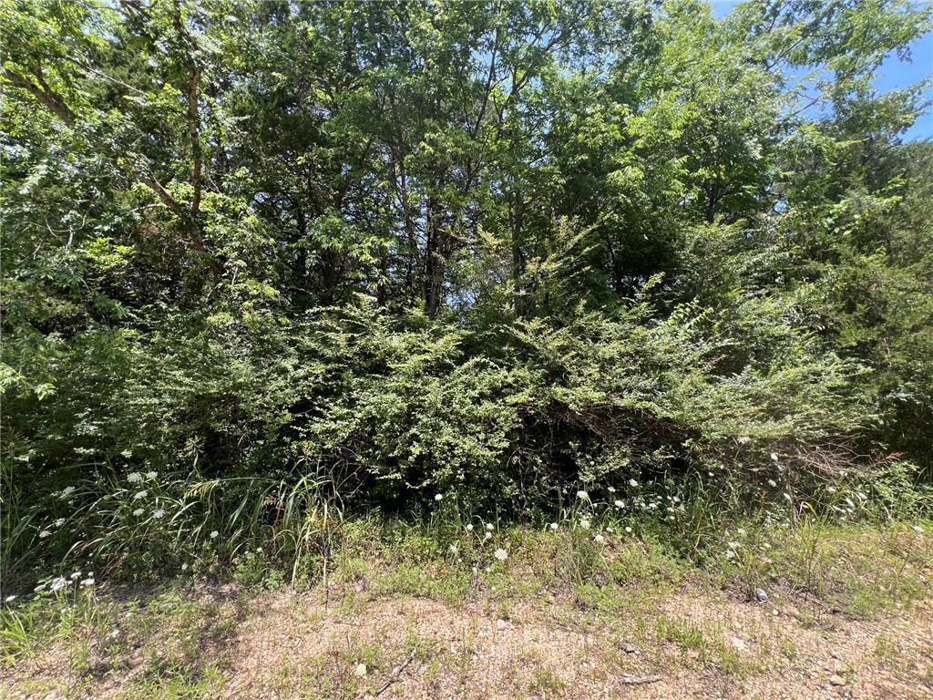 Image 3: Wooded lot featuring dense foliage and scattered w