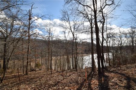 Walkenbach Tract 7 Road