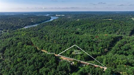 3AC (Tract 5) Sallie Drive