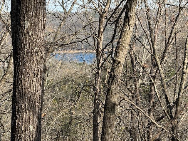 Image 1: Water view on eastern ridge