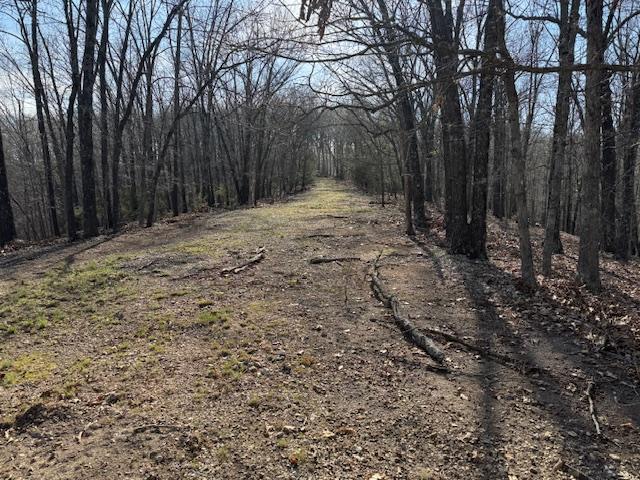 Image 4: Eastern boundary road to lakeview point