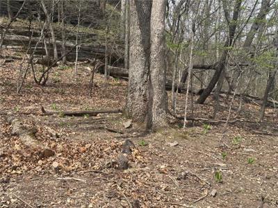 Lot 35 Dogwood Drive