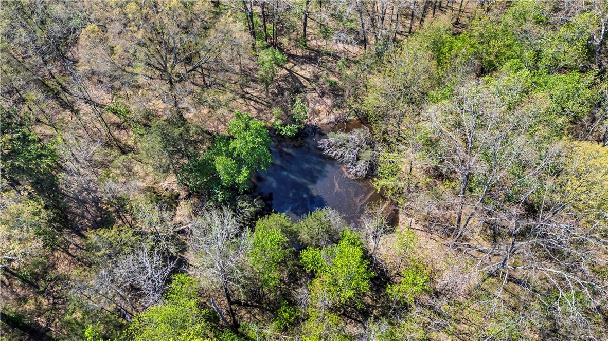 Image 4: Bird's eye view