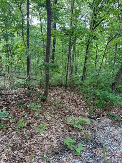 Image 1: Heavily wooded property featuring mature trees and