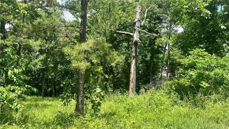 Lot 5 Old White River Road