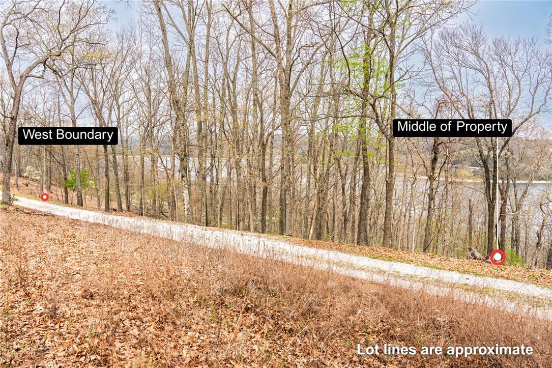 Image 3: View from Avian Road starting from the middle of t