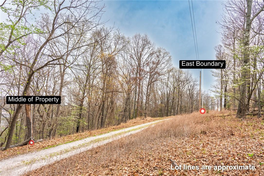 Image 4: View from middle of property to the east boundary