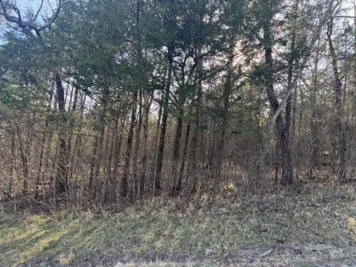 1 Table Rock/Cottonwood Drive