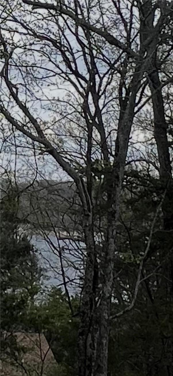 Image 4: Image quality insufficient for description