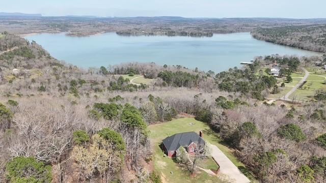 Image 2: Bird's eye view of a nearby body of water and a he