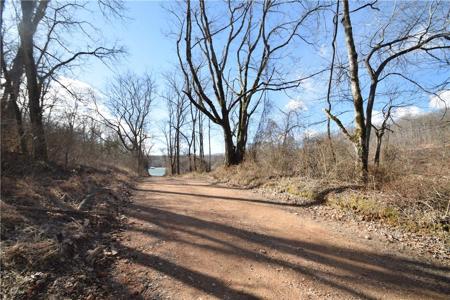 Walkenbach Tract 8 Road