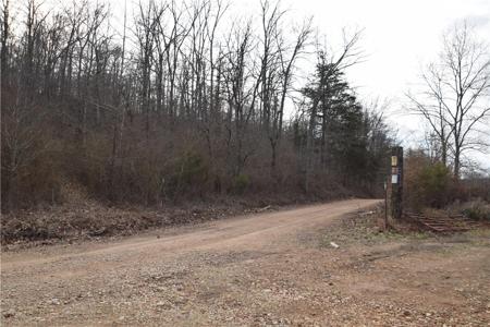 Walkenbach Tract 9 Road