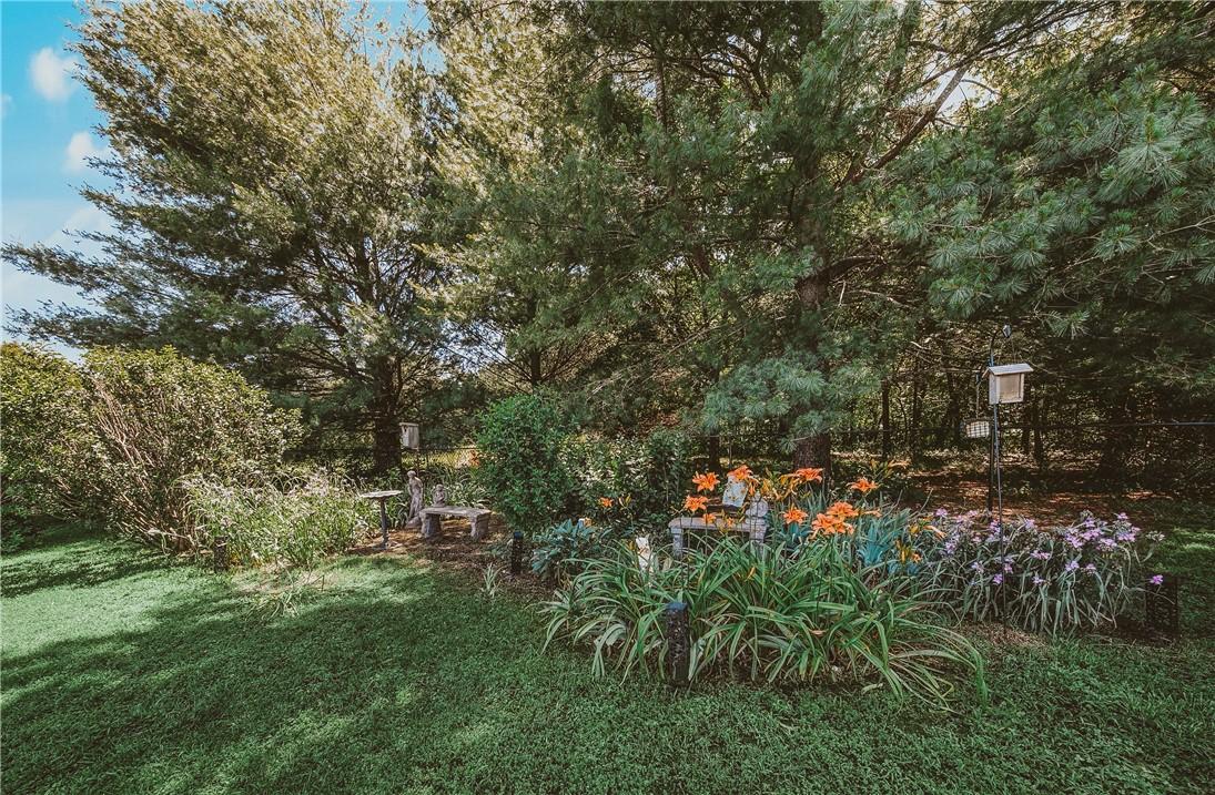 Image 4: The beautiful flower bed blooms with something new