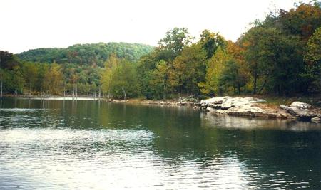 69.25 Acres Slate Gap Road